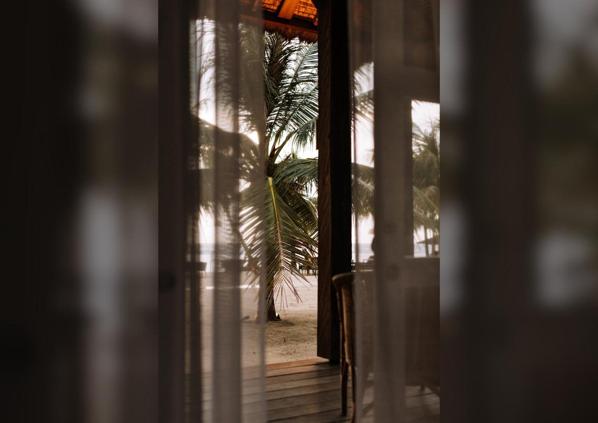ホテル Meno House - Adults Only ギリ島 部屋 写真